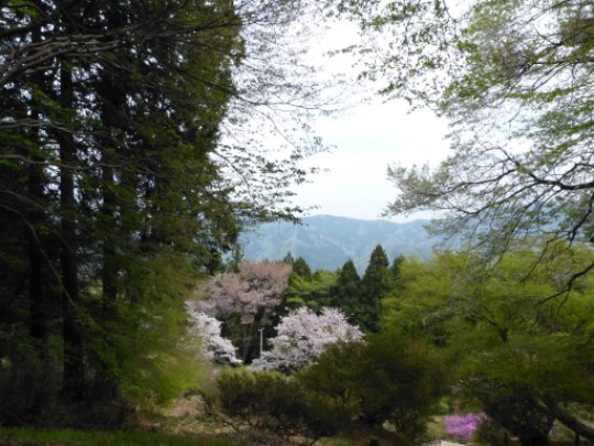 画像35